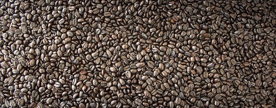 coffee bean lot, the process, beverage, delicious, sweet, in the morning HD wallpaper