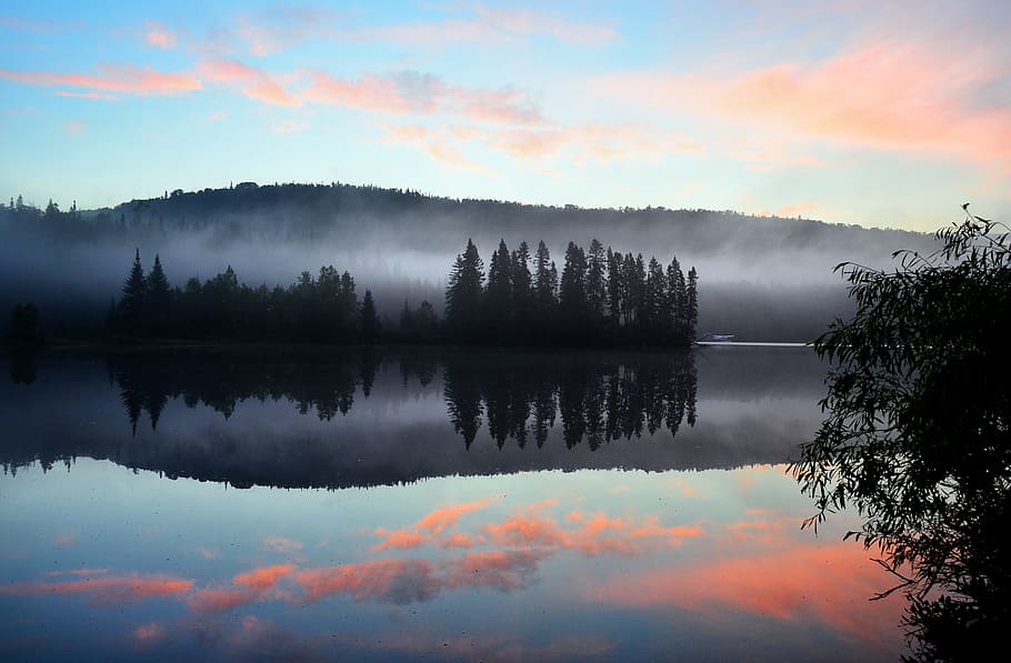 trees in front of body of water, landscape, lake, reflections HD wallpaper