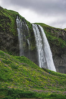Skogafoss waterfall , Iceland, spring, green grass, yellow HD wallpaper
