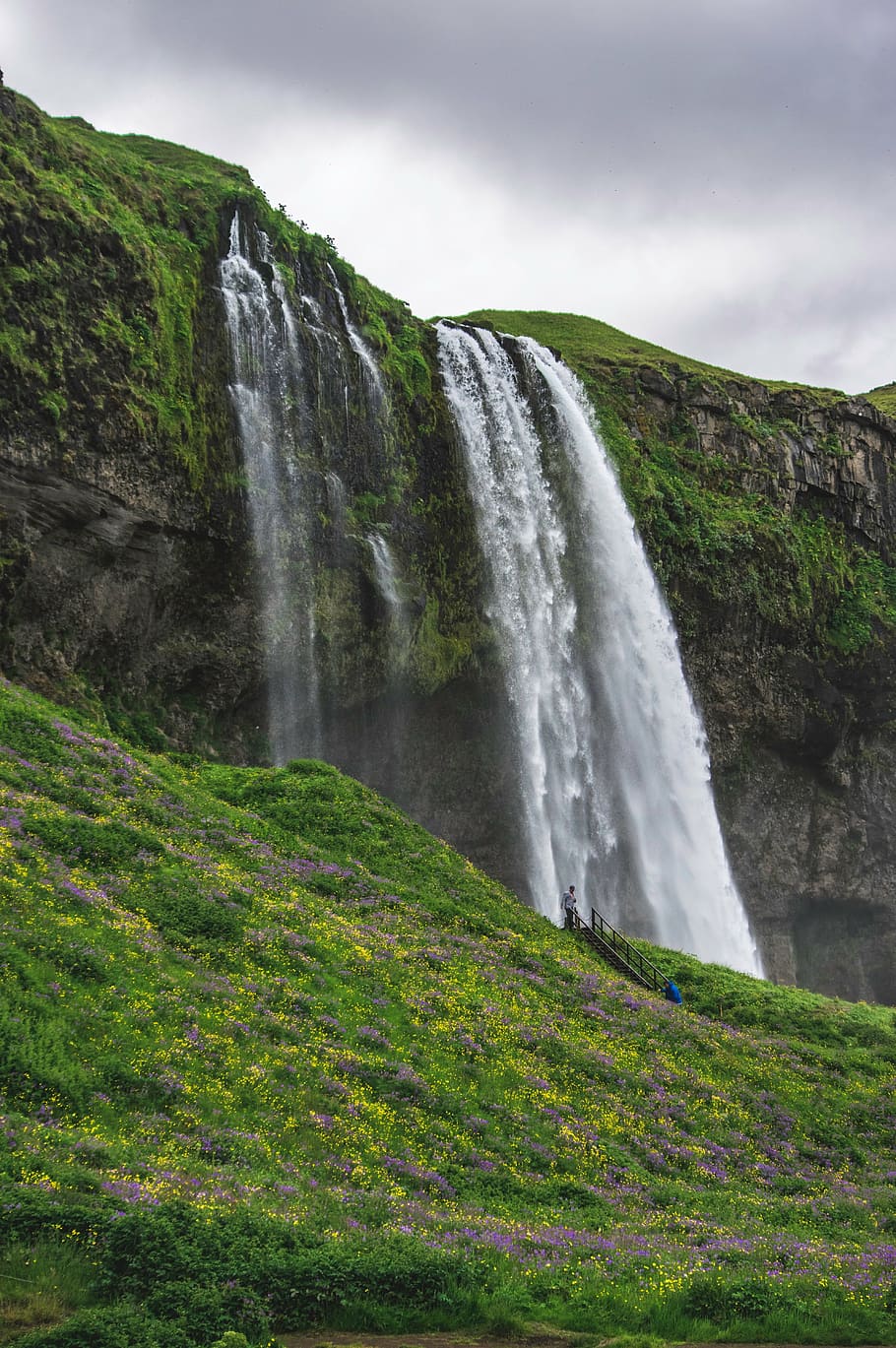 Skogafoss waterfall , Iceland, spring, green grass, yellow HD wallpaper