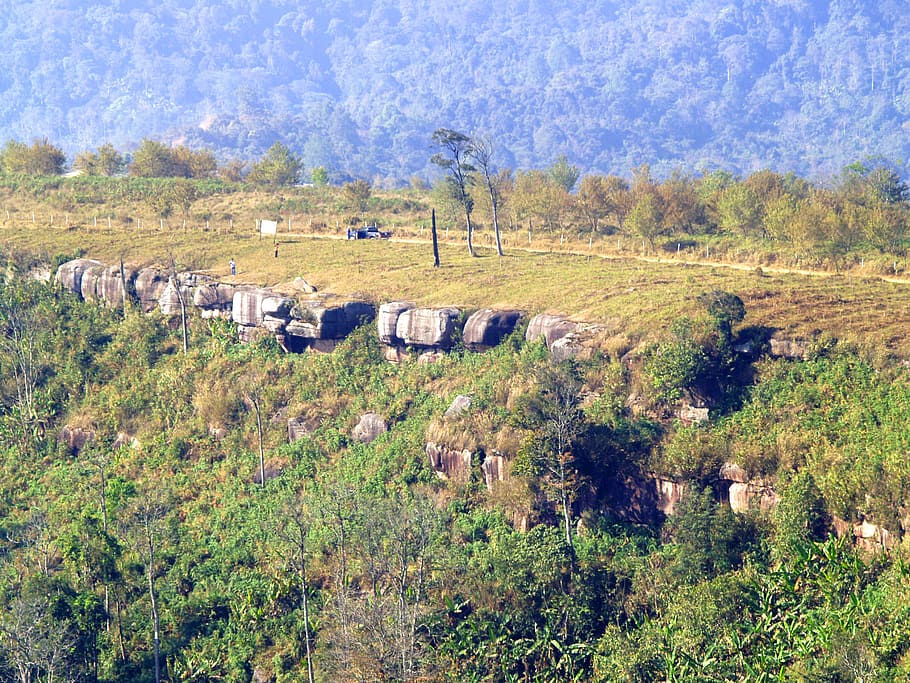 landscape, nature, field, forest, cliff, countryside, environment HD wallpaper