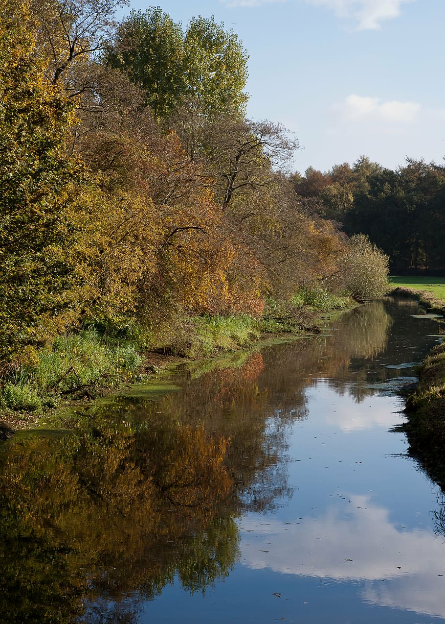 river, autumn, landscape, tree, nature, forest, outdoor, cold HD wallpaper