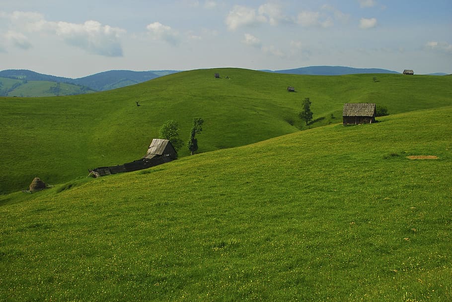 landscape, sheepfold, rustic, mountain, nature, rural Scene HD wallpaper