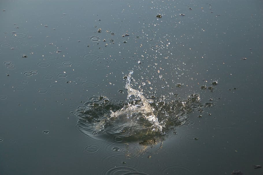 water, drops, splash, movement, motion, splashing, nature, no people HD wallpaper