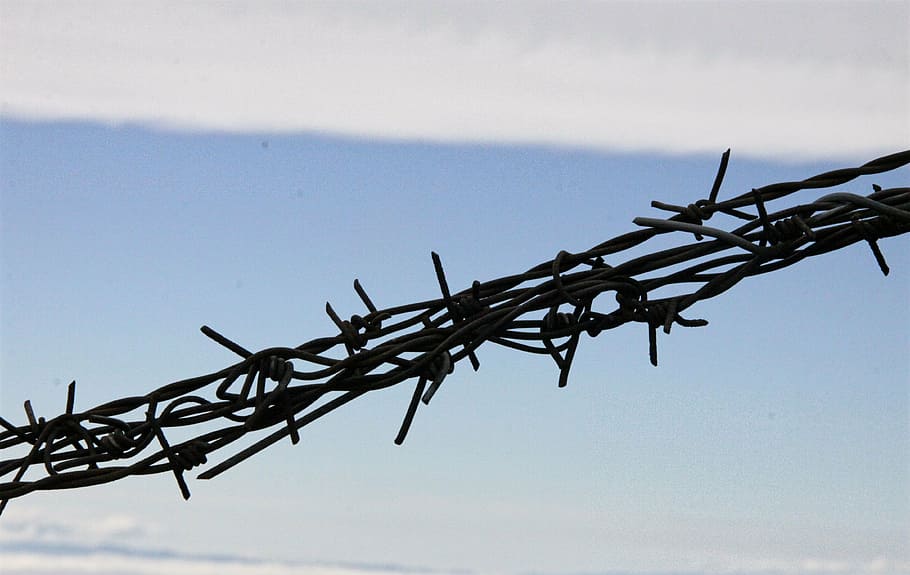 barbed wire, borders, protection, secure, metal, sky, fence HD wallpaper