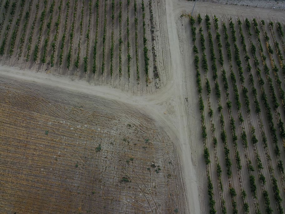 bird's eye view photography of field, aerial view, farm, track