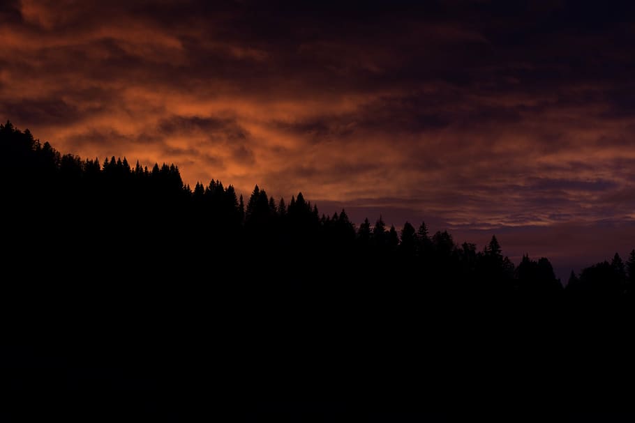 silhouette of trees, sunset, sky, clouds, dusk, abendstimmung HD wallpaper
