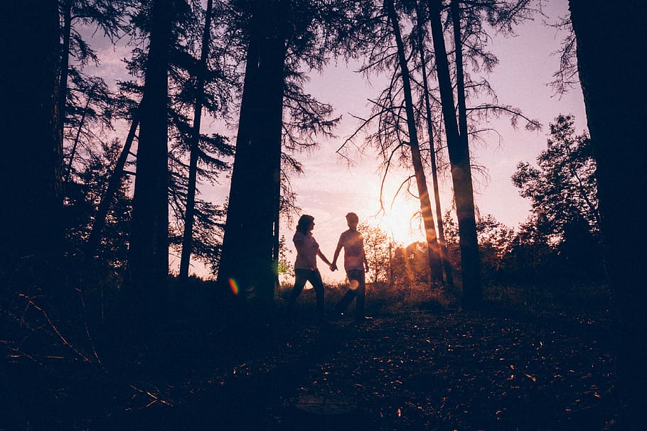 Wilderness silhouette, woman and man holding hands walking inside woods during golden hour photography