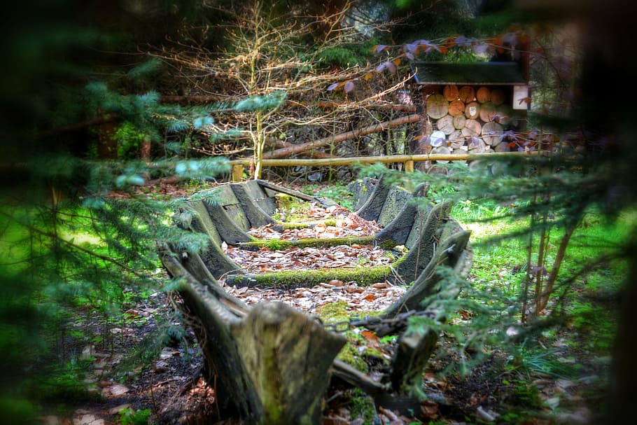 boot, forest, ailing, nature, ships, boats, tree, landscape HD wallpaper