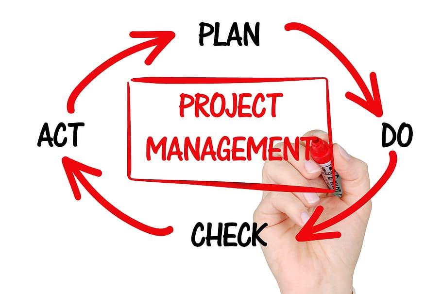 Project Management clipart, planning, business, project manager