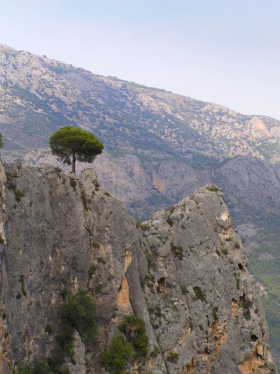 tree, mountains, landscape, nature, atmosphere, mood, hilltop HD wallpaper