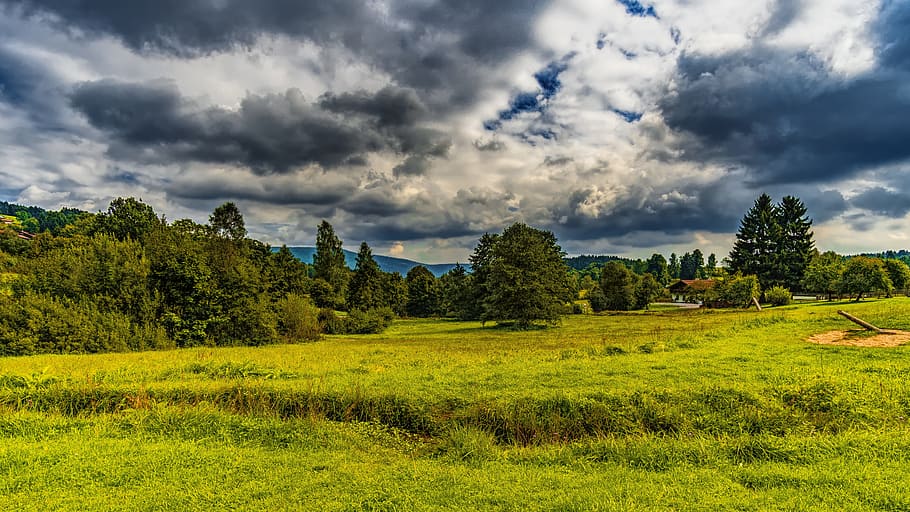 green grass taken at daytime, landscape, view, nature, hill, clouds, HD wallpaper