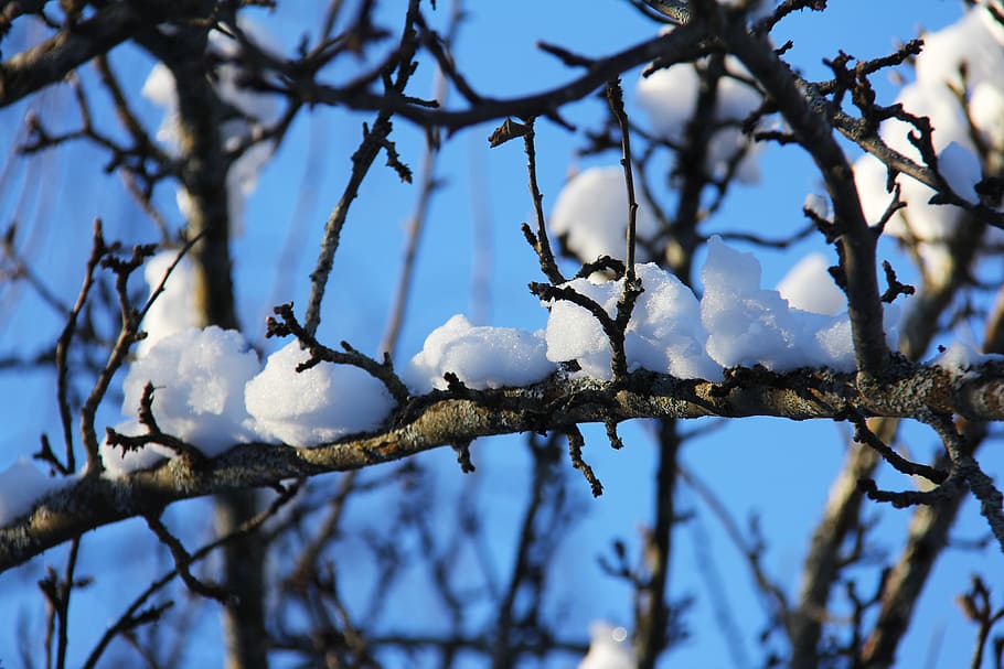 snow, winter, cold, beautiful, white, unique, dalarna, tallberg HD wallpaper