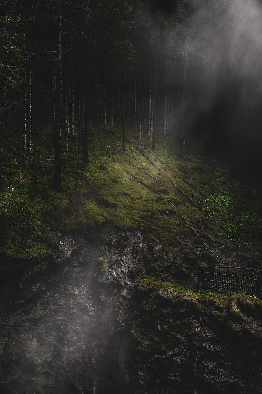 photography of forest, wrecked gray rock formation during nightime