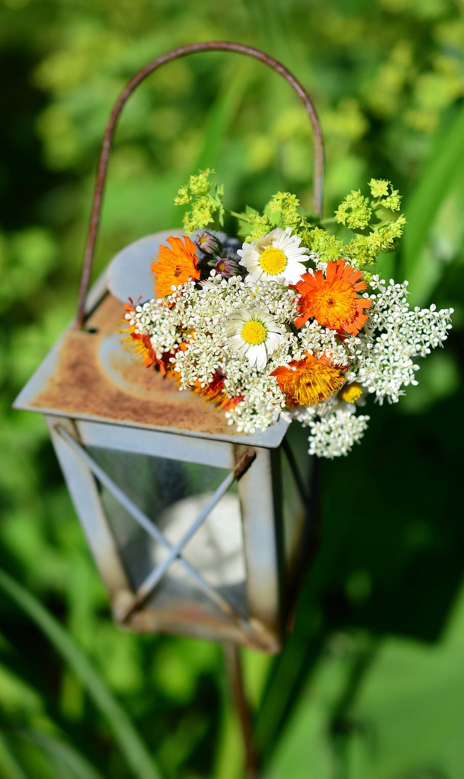 wildflowers, wild flowers, bouquet, lantern, garden, garden decoration, HD wallpaper