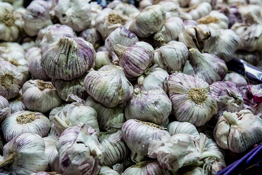 Garlic, close up, ingredient, ingredients, onion, vegetable, vegetables, HD wallpaper