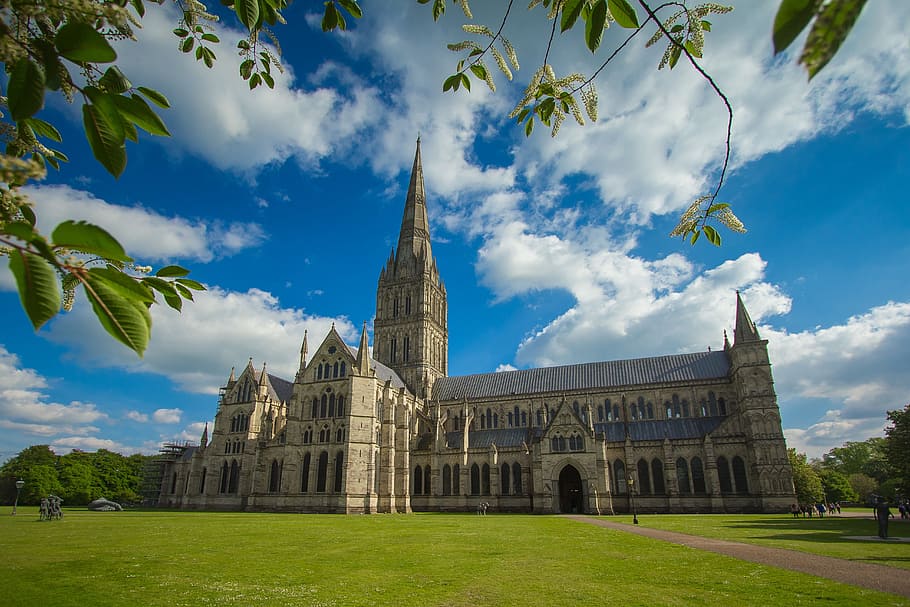 beige building with spire near trees and grass, cathedral, salisbury, HD wallpaper