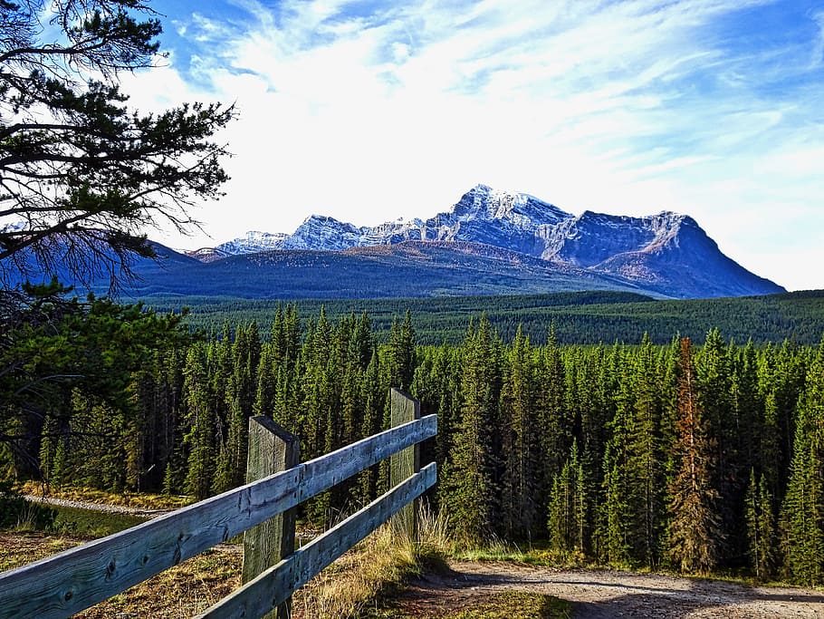 Forest, Perspective, Peaks, mountain, clouds, landscape, natural HD wallpaper