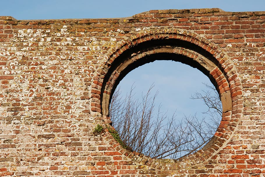 brown bricks wall, stones, old, window, vista, tree, history HD wallpaper