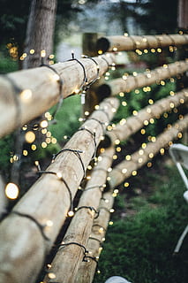 brown bamboo fence with string lights, green string lights on brown fence HD wallpaper