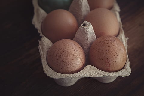 egg, chicken eggs, egg box, brown eggs, raw eggs, egg packaging HD wallpaper