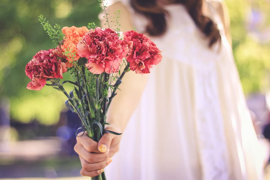 selective focus photography of red and orange carnation flowers HD wallpaper