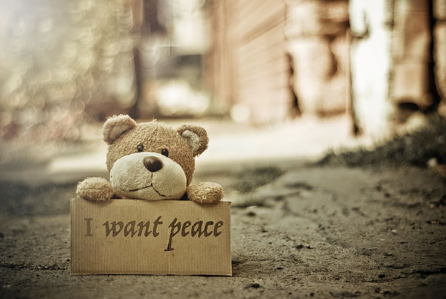 peace, teddy bear, footman, hug, toys, soft, cuddle, cute, peace sign HD wallpaper