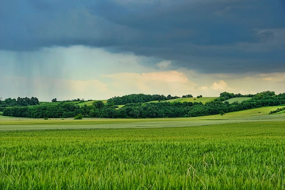 landscape photo of field of grass, nature, panorama, clouds HD wallpaper