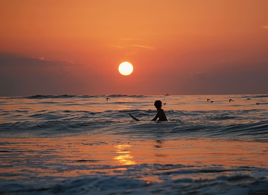 silhouette photography of person surfing, man, water, birds HD wallpaper