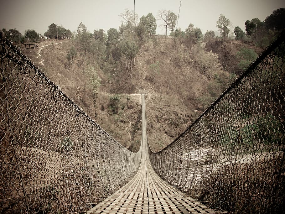 close-up of photography of hanging bridge, sephia, nature, woods, HD wallpaper
