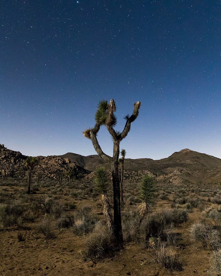 desert, mountains, view, volcanic, rocks, sky, scenics - nature HD wallpaper