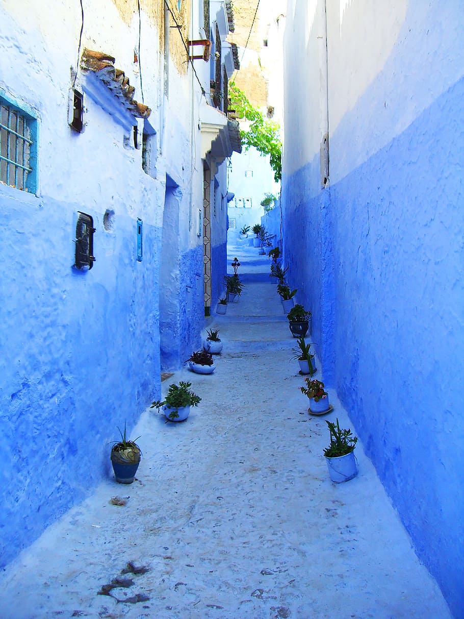 Chefchaouen, Morocco, Alley, blue, arabic, village, blue houses, HD wallpaper