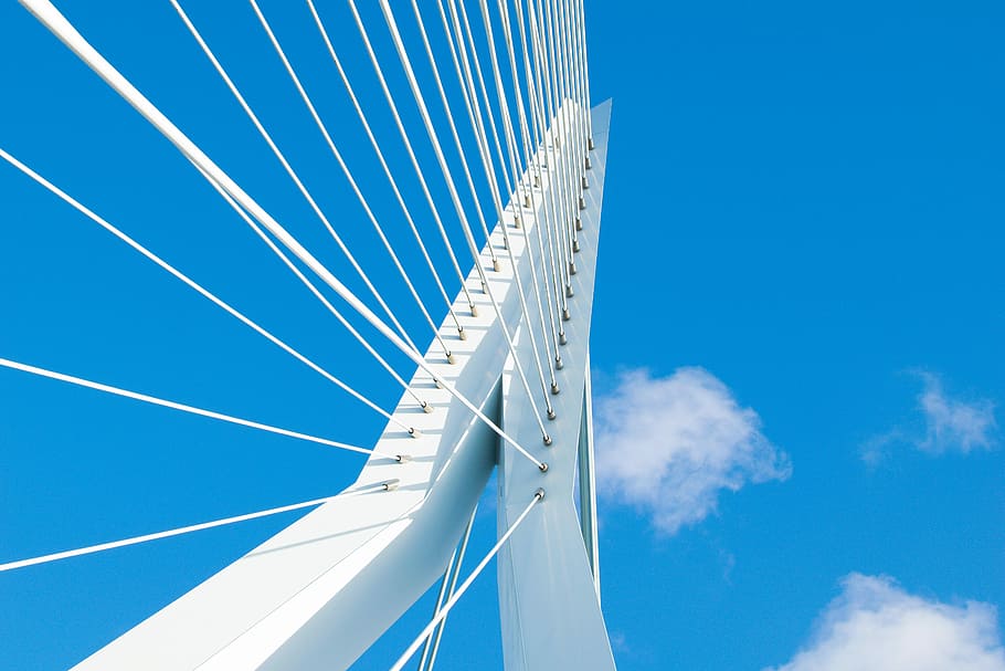 Erasmus Bridge Rotterdam, white steel bridge frame, blue, sky HD wallpaper