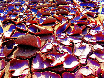 mud, mud cracks, soil, dirt, rain, dry, drought, erosion, sediment HD wallpaper