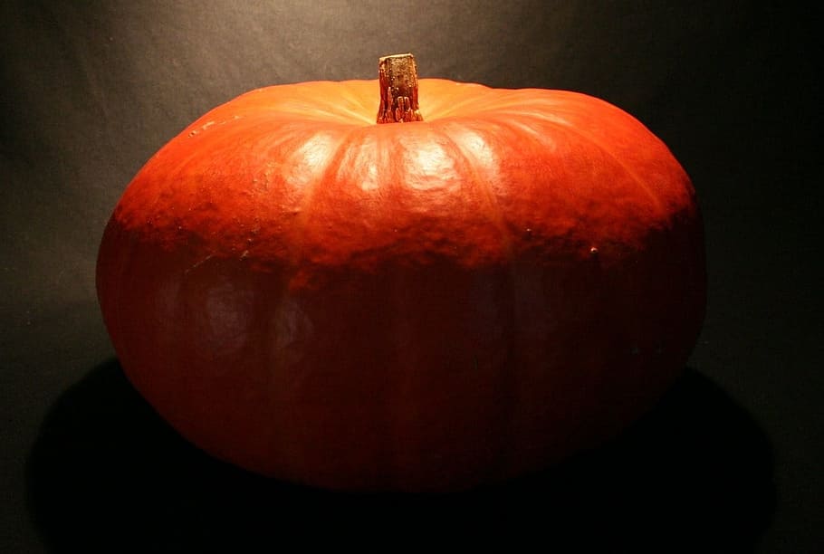 Pumpkin, Orange, Halloween, vegetable, food and drink, single object HD wallpaper