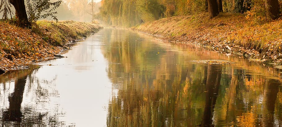 body of water beside trees, river, mirroring, bridge, niederrhein HD wallpaper