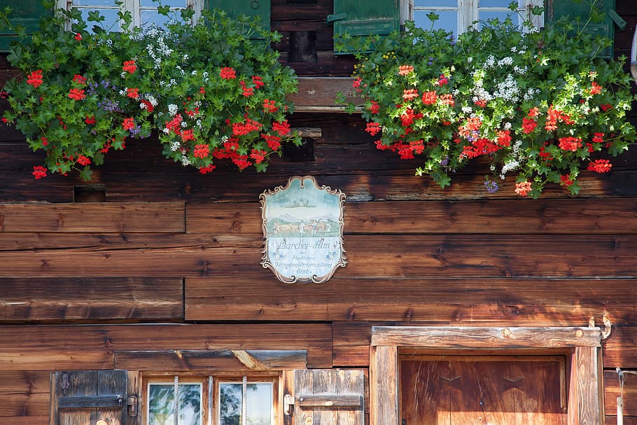alm, shield, flowers, flower boxes, culture, upper bavaria HD wallpaper
