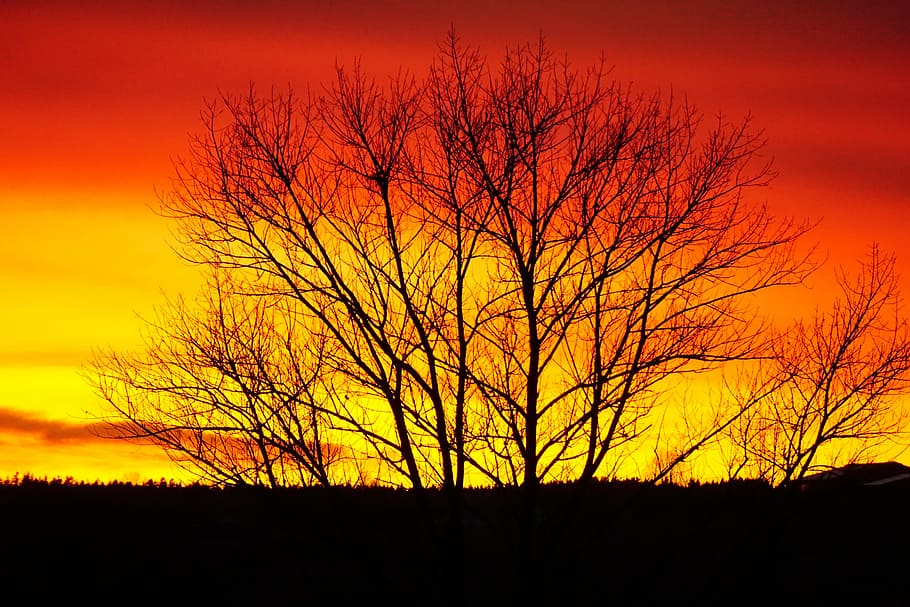 sunset, abendstimmung, background image, westerwald, orange HD wallpaper