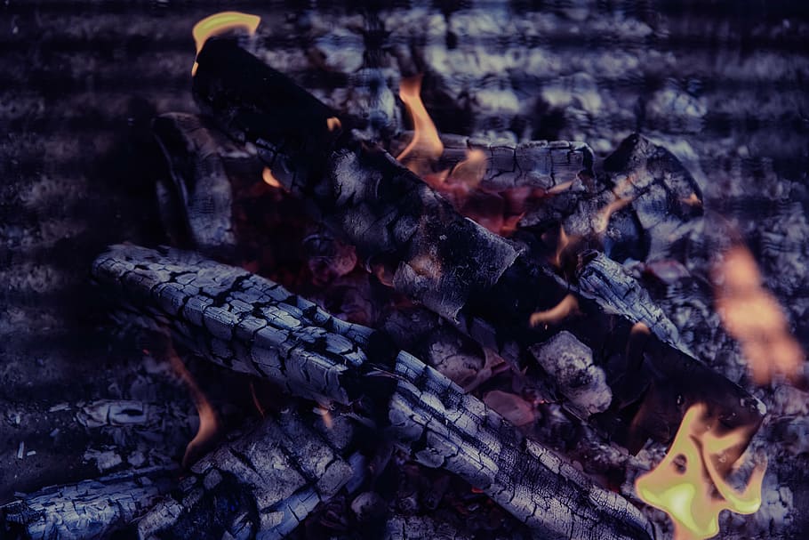firewood with fires, flame, heat, hot, bonfire, campfire, gun HD wallpaper