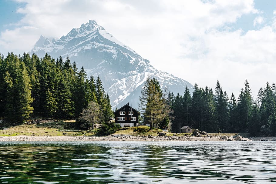 nature, landscape, mountains, summit, peaks, snow, forest, trees HD wallpaper