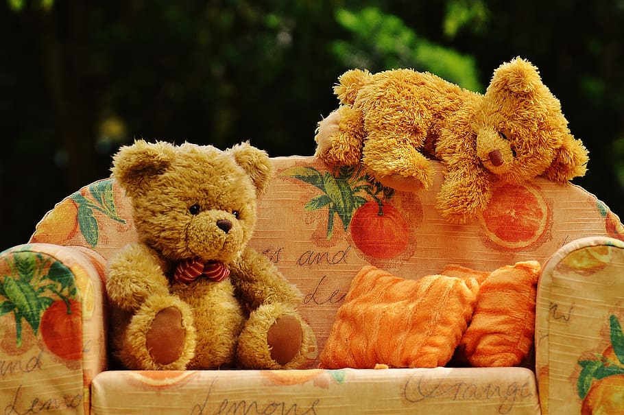 two brown bear plush toy on sofa, bears, sweet, cute, teddy, funny, HD wallpaper