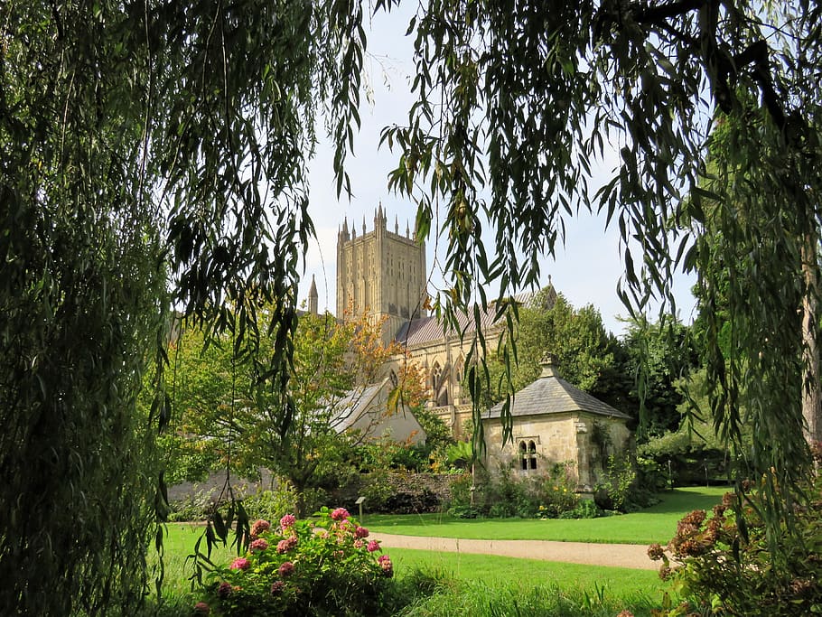 wells, cathedral, bishop's garden, historic, england, uk, somerset, HD wallpaper