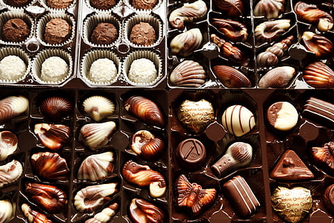 seashell chocolate lot, chocolates, background, box, brown HD wallpaper