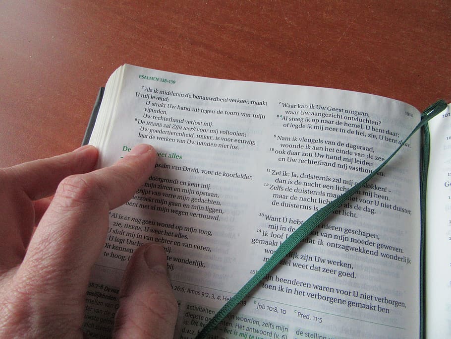 Bible, Read, Book, Open, Bookmark, Table, hand, old testament HD wallpaper