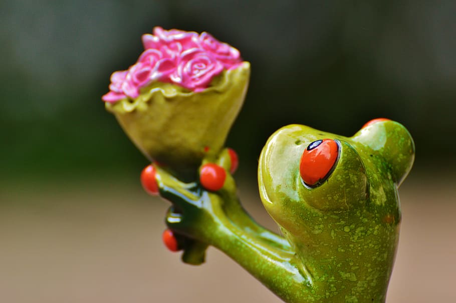 shallow focus photo of green ceramic frog figurine, i beg your pardon, HD wallpaper