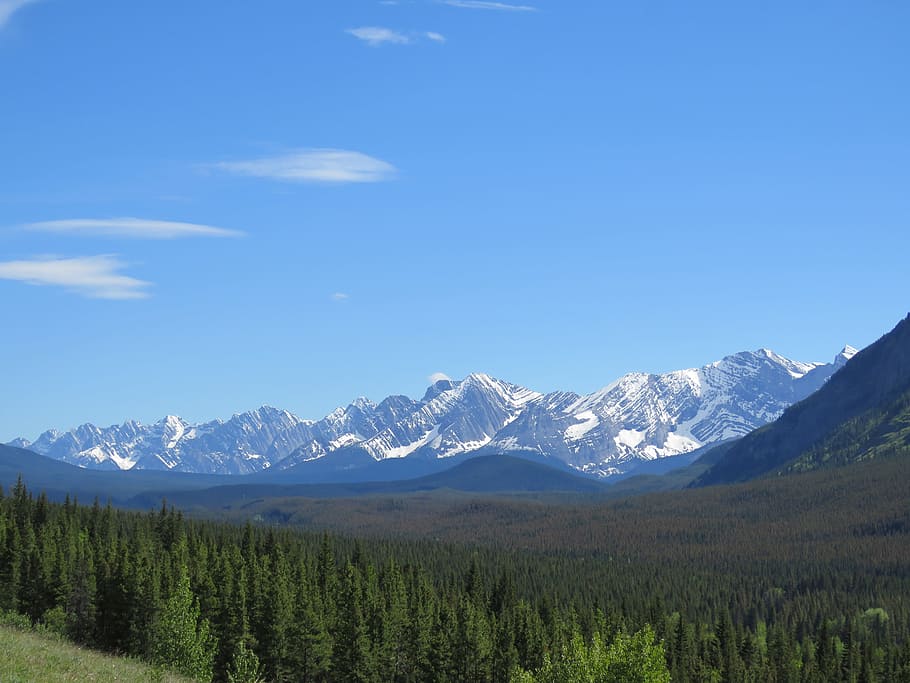 Rocky Mountains, Kananaskis, Alberta, canada, nature, forest, HD wallpaper