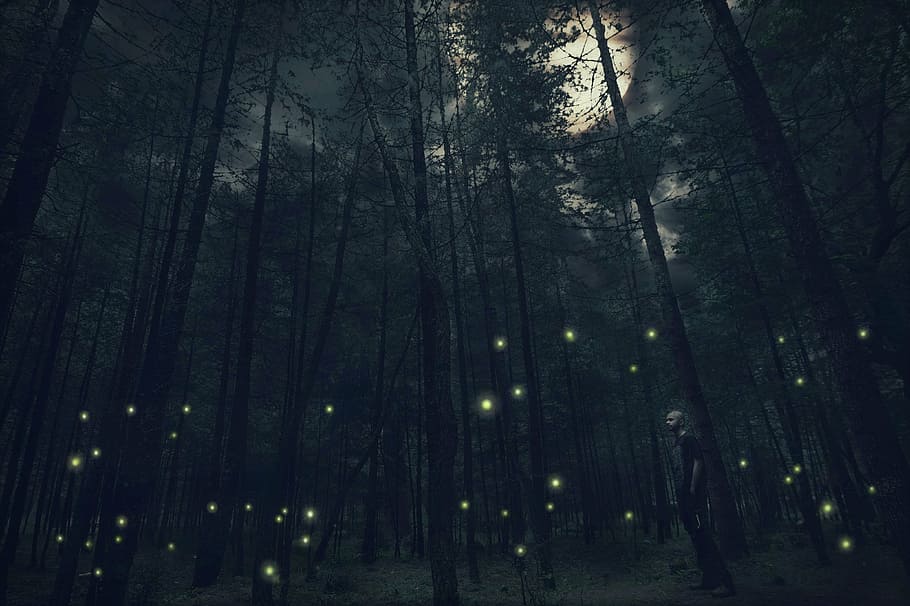 man standing beside trees during night time, fantasy, moon HD wallpaper
