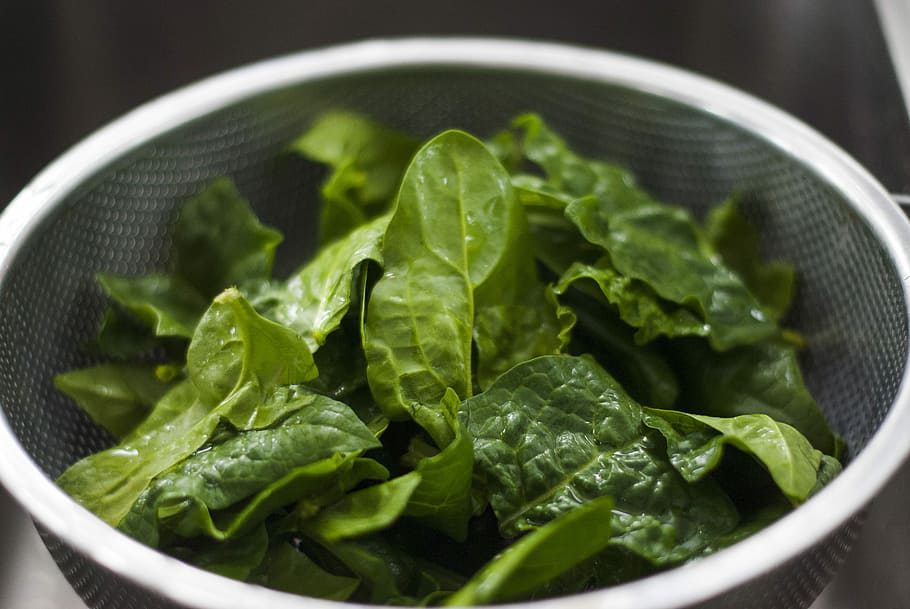 Spinach, vegetables inside strainer, leaf, sieve, basket, food and drink HD wallpaper