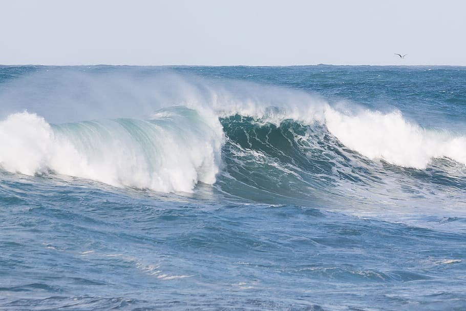 tidal wave during day time, ocean, flood, sea, water, spray HD wallpaper
