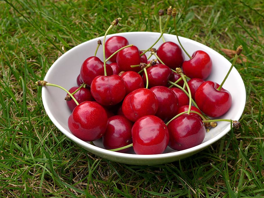 Cherry fruit on ceramic bowl, cherries, pome fruit, red, green HD wallpaper